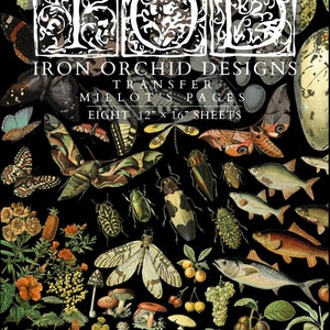 IOD Millots Pages Rub On Transfer Sheet, furniture decor, craft supply, Card embellishment, Insect transfer, mushroom, botanical, butterfly