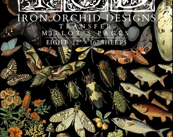 IOD Millots Pages Rub On Transfer Sheet, Botanical Insect Decor