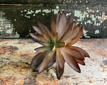 Artificial echeveria Succulent Stem, Real touch artificial succulent, Large succulent Flower Arranging Supply, Bronze color succulent