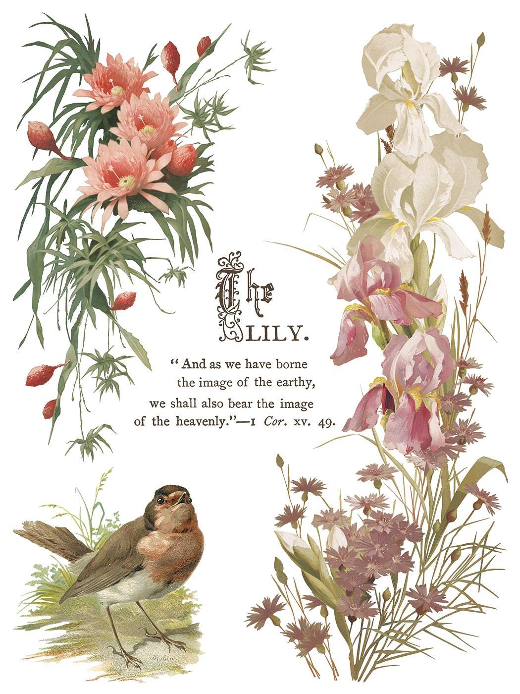 Victorian Ransfers IOD Flowers by the Poets Rub on Transfer Sheet (12x16), Vintage ...