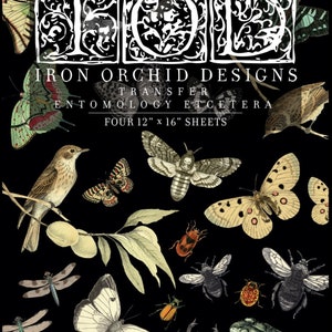 May include: Iron Orchid Designs transfer sheet with the text "Entomology Et Cetera" and "Four 12" x 16" sheets". The sheet features a black background with various insects, butterflies, and other creatures in shades of brown, white, green, and red.