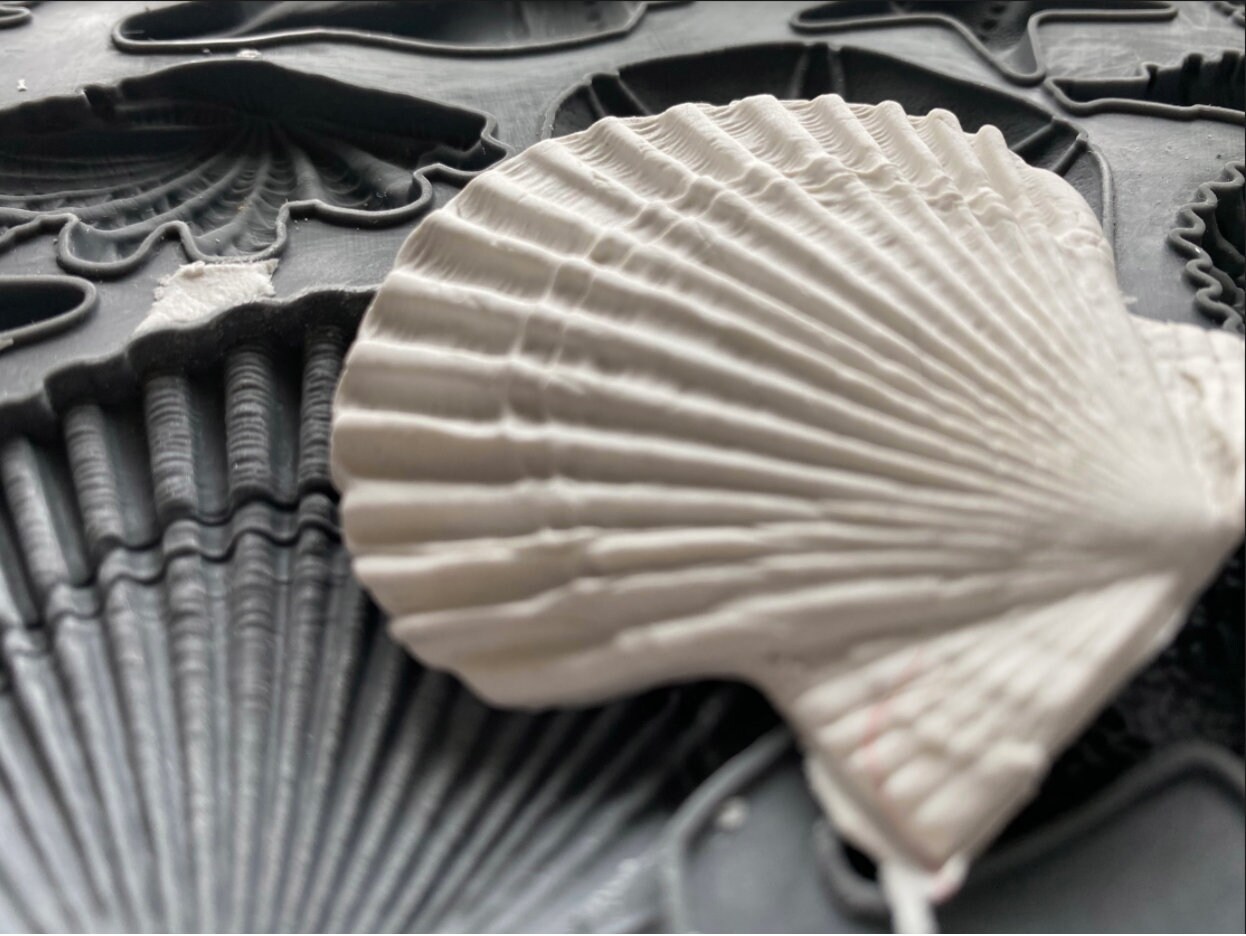 IOD Sea Shells Decor Mould, Casting mould for crafts, craft supply, soap mold, resin mold, ocean life mold, candy mold,
