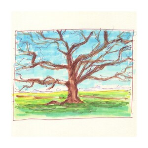 Fine Art Print - Noord-Californië Landschap - Oroville Tree bij Phantom Falls Trailhead - Marker Sketch