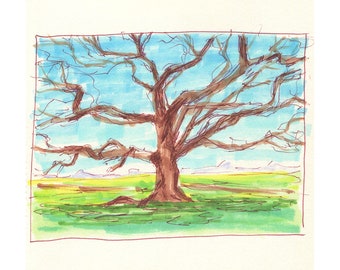 Fine Art Print - Northern California Landscape - Oroville Tree at Phantom Falls Trailhead - Marker Sketch