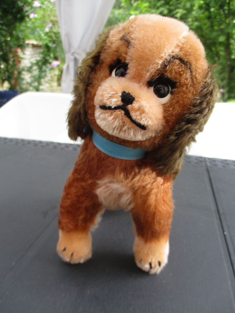 peluche chien cavalier king charles