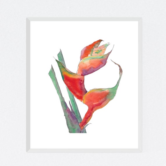 Crazy Heliconia floral art print, nature, flower, tropical, exotic, archival print, botanical art, giclee on paper, contemporary wall art