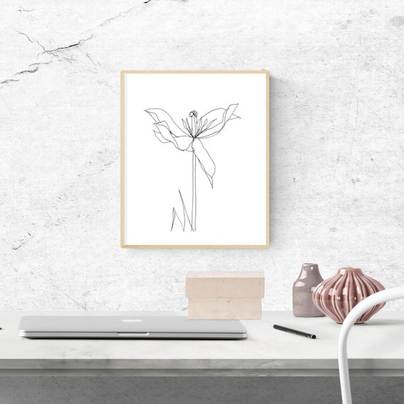 The Regent's Park Tulip #1, floral art print, nature, minimalist, flower, archival print, botanical art, giclee on paper, contemporary art