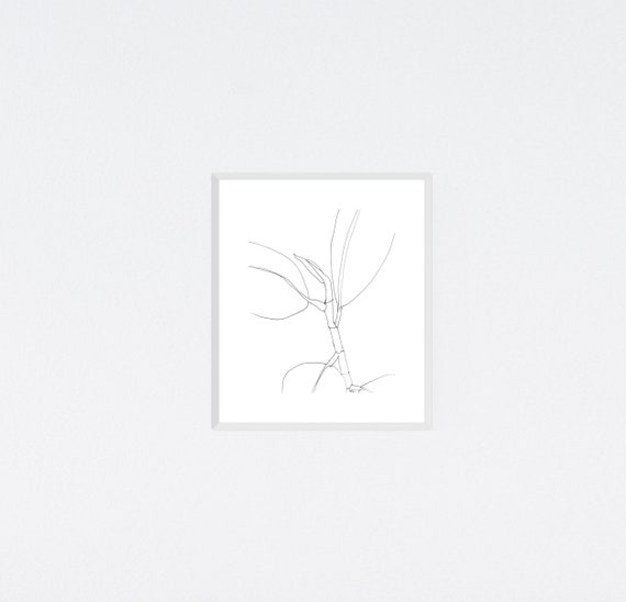 Black and White Ficus Elastica, Rubber Plant, botanical art print, nature, minimalist, archival print, giclee on paper, contemporary art