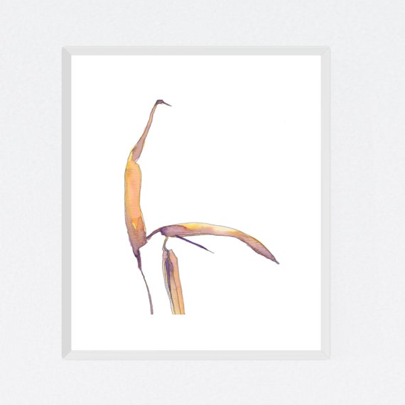 Dying Heliconia #2, floral art print, nature, minimalist, flower, archival print, botanical art, giclee on paper, contemporary wall art