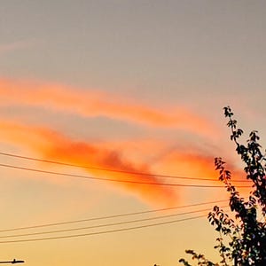 Op de afbeelding: Een levendige zonsonderganghemel met strepen van oranje en roze wolken. Silhouetten van boomtakken en elektriciteitsdraden zijn zichtbaar op de voorgrond. De lucht gaat over van een warm oranje naar een koeler grijs.