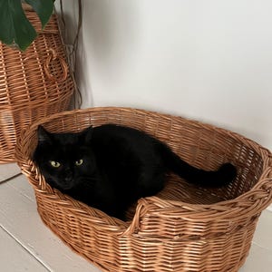 Handmade Willow Pet Bed: Rustic Wicker Cat or Small Dog Bed
