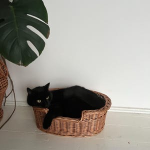 small Handwoven Wicker Pet Bed , Natural Polish Willow Basket for Dogs & Cats