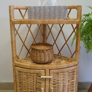 Corner Wicker Cabinet – Rattan Shelf with Door – Boho Storage Organizer
