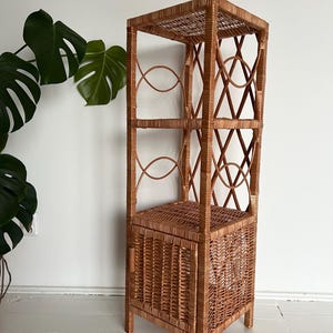 Handmade Wicker Cabinet: Bathroom Shelf with Door