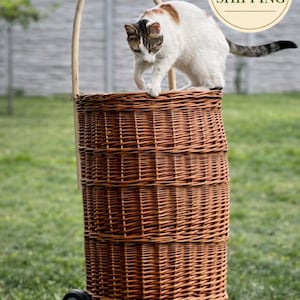 Op de afbeelding: Een hoge, geweven rieten mand op wielen met een gebogen handvat. Een wit-bruine kat zit bovenop de mand. De mand is bruin en staat op een groen gazon.