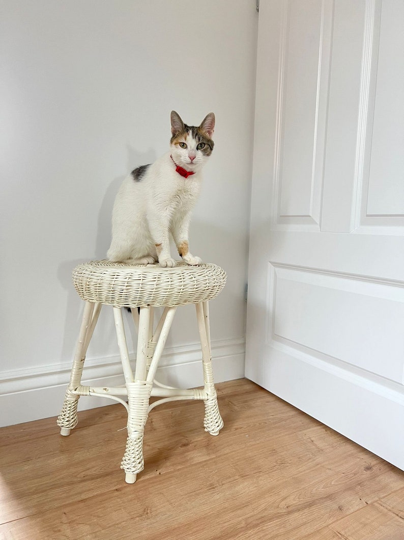 Wicker Stool Eco White Stool Chair Natural Wicker Gift for Etsy