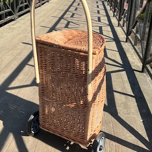 Handgemaakte rieten winkelwagen met deksel – grote rollende boodschappenmand – natuurlijke Eco Market-kar – geen montage vereist