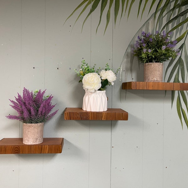 Plant Shelf Etsy