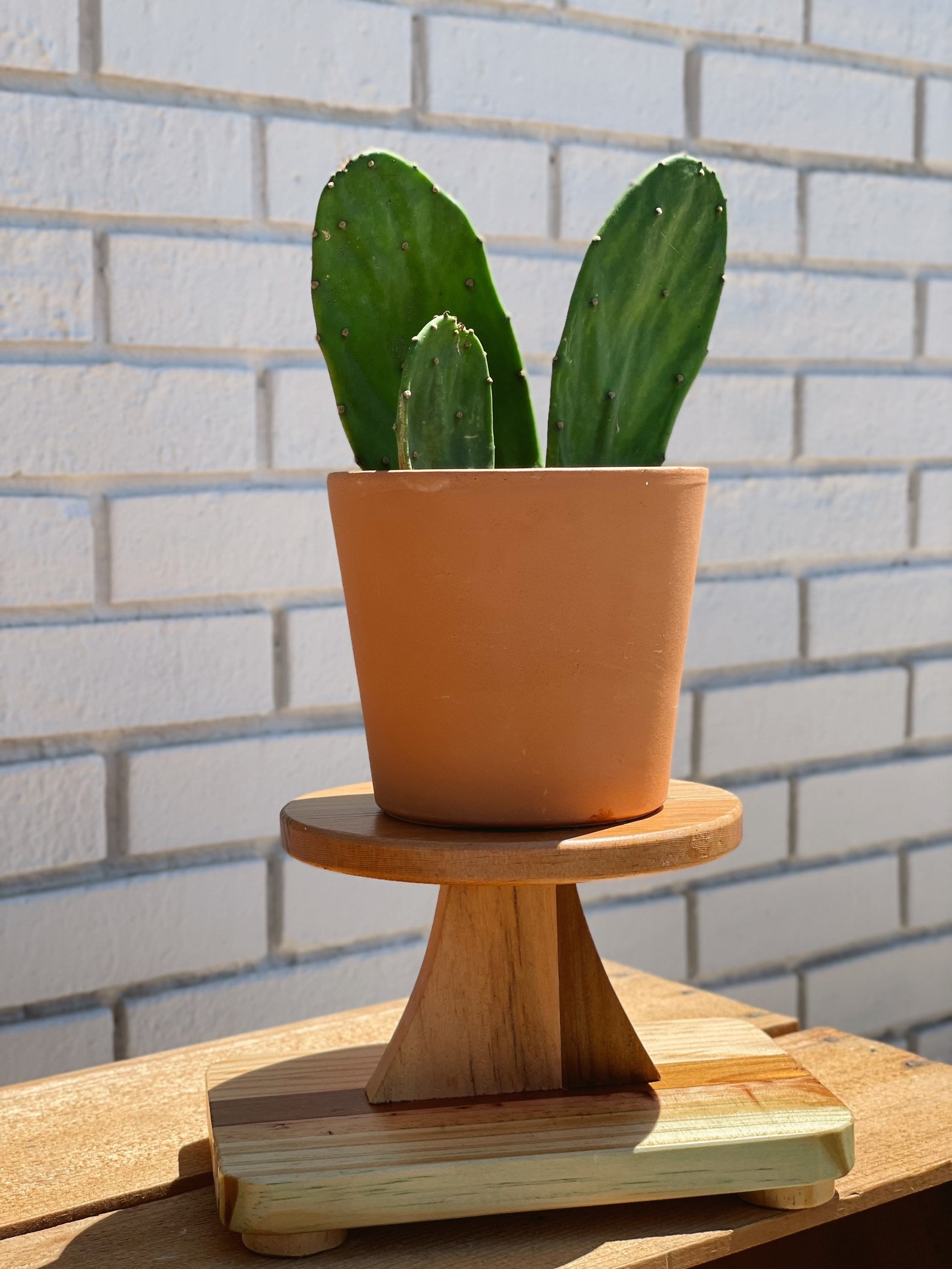 1 Tier Wooden Plant Stand Air Plant Holder Plant Stand Etsy