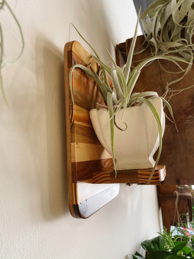 Floating Wall Plant Shelf 12 Square Rounded Corners Etsy