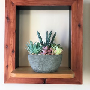 Picture Frame Plant Shelf, Reclaimed Western Red Cedar Wood