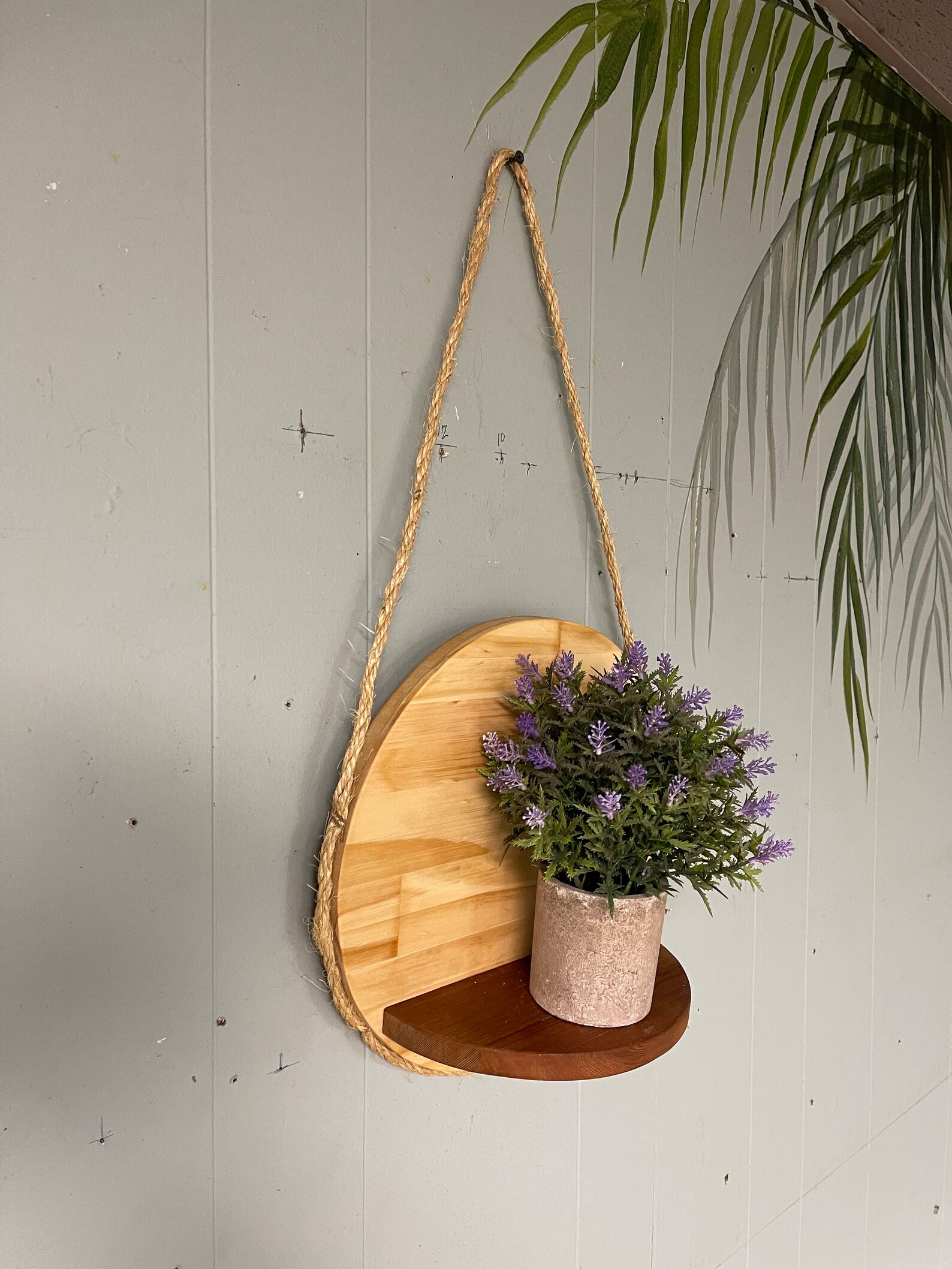 Plant Shelf Hanging Floating Plant Shelf 10 and Etsy