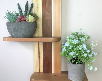 May include: A wooden wall shelf with two shelves. The top shelf has a small potted succulent plant. The bottom shelf has a small potted plant with white flowers. The shelf is made of different types of wood, creating a striped pattern.