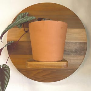 Reclaimed Wood Floating Plant Shelf: Rustic Farmhouse Wall Decor