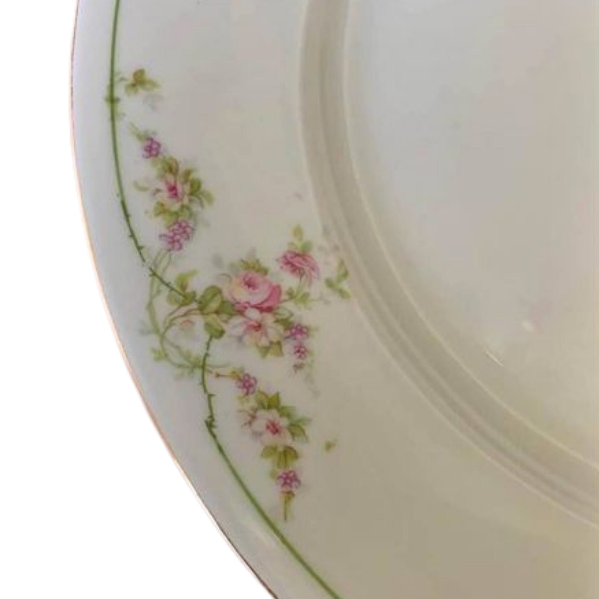 Rare 1800s China Set, 91 Pieces, MZ Austria Fine China, Moritz