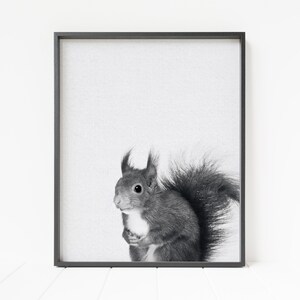 squirrel wall art, squirrel print, squirrel decor, woodland nursery art