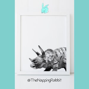 Puede incluir: Fotograf&iacute;a en blanco y negro de un dinosaurio Triceratops en un marco blanco. El dinosaurio est&aacute; mirando hacia el lado derecho de la imagen. La foto est&aacute; sobre un fondo blanco. El texto "@TheNappingRabbit" est&aacute; debajo del marco.