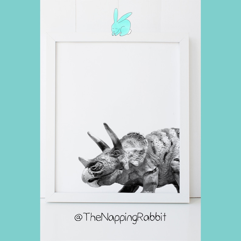 Puede incluir: Fotograf&iacute;a en blanco y negro de un dinosaurio Triceratops en un marco blanco. El dinosaurio est&aacute; mirando hacia el lado derecho de la imagen. La foto est&aacute; sobre un fondo blanco. El texto "@TheNappingRabbit" est&aacute; debajo del marco.