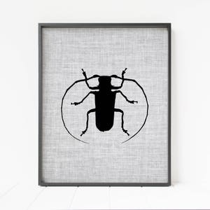 insect print, longhorn beetle print, insect printable art, bug wall art, insect decor