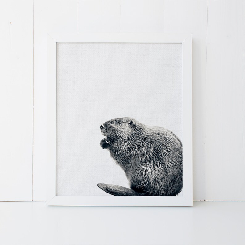 Printable Beaver Print Woodland Animal Nursery Decor Black - Etsy