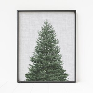 Christmas tree print, printable christmas tree wall art, christmas tree decor, evergreen tree wall art
