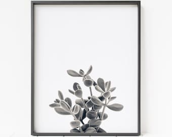 succulent wall art, succulent print, cactus decor, printable succulent, botanical print