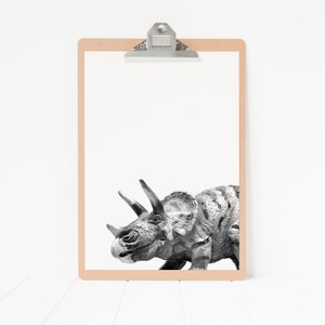 Puede incluir: Una foto en blanco y negro de un dinosaurio Triceratops en un portapapeles con un marco marr&oacute;n.