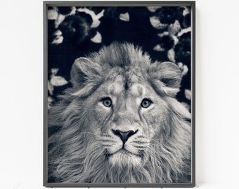 Lion wall art, lion print, printable nursery decor, safari animal print, nursery animal print