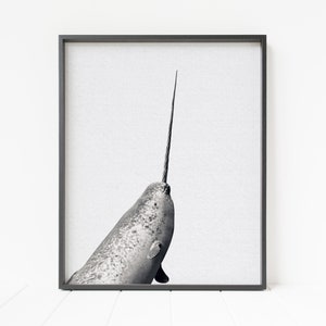 narwhal print, black and white narwhal wall art, sea animal decor, whale print