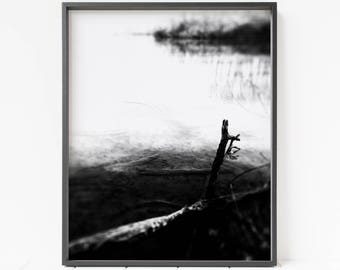 May include: Black and white photograph of a tree branch reaching up from a frozen lake. The branch is silhouetted against the white background of the ice and snow.