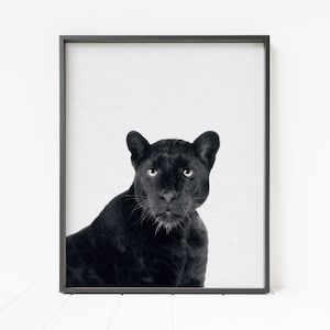 jaguar print, black panther print, black jaguar, big cat decor, jaguar decor, printable jaguar