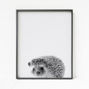 egelprint, afdrukbare muurkunst, bosdierendecor, bosdierenprint