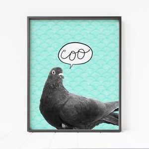 pigeon print, pigeon wall art, bird print, bird printable wall art, bird decor, pigeon decor