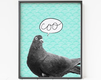 May include: A black and white illustration of a pigeon with a speech bubble that says "coo" on a turquoise background with a wave pattern.