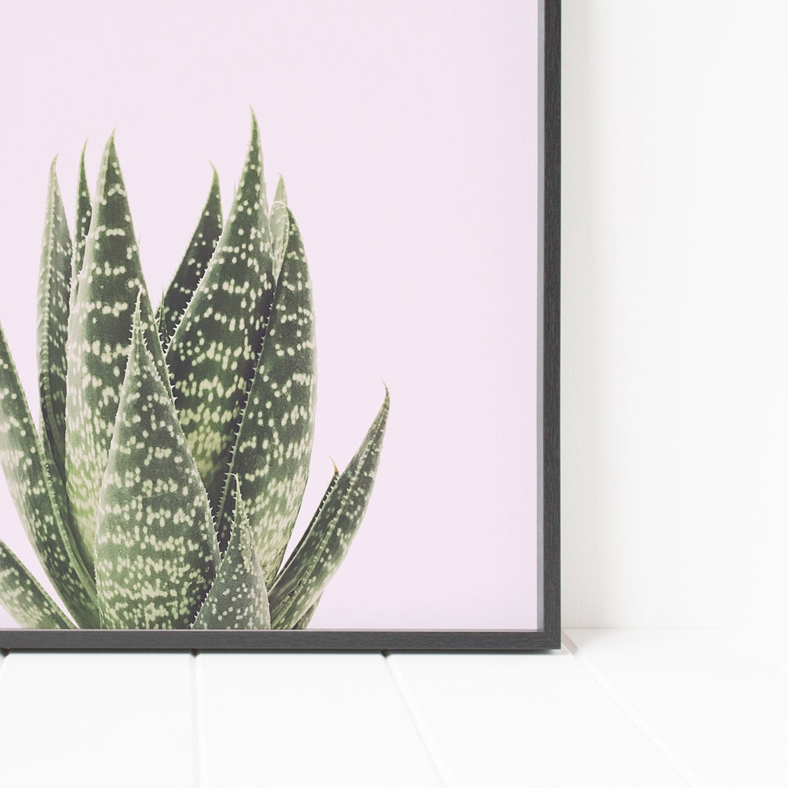 Colorful succulent print pink wall decor cactus wall art | Etsy