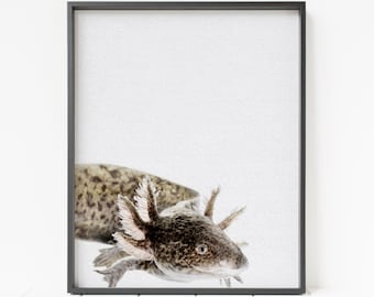axolotl print, axolotl decor, axolotl wall art, printable axolotl, minimalist animal decor