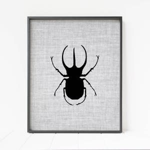 atlas beetle wall art, bug decor, insect print, insect decor, beetle print