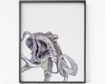 Impresión de pulpo a color, pulpo imprimible, arte infantil de animales, retrato de pulpo, decoración de playa, decoración del océano