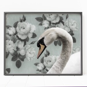 swan print, swan wall art, bird decor, swan decor, floral decor, woodland animal decor