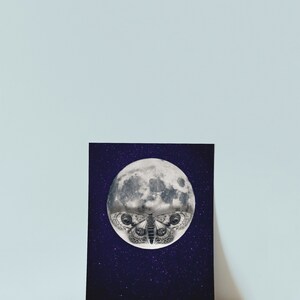 May include: A black and white illustration of a moth superimposed on a full moon against a dark blue background with white stars.
